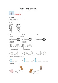 专题训练2 比较（数与代数）-一年级上册数学寒假专项提升（北师大版）