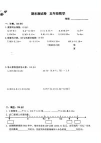 江苏省常州天宁区常州市市局前街小学2024-2025学年五年级上学期期末数学试卷