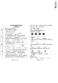 广东省惠州市博罗县罗阳镇2024-2025学年五年级上学期期末数学试题