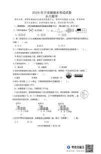 湖南省常德市澧县2024-2025学年六年级上学期期末考试数学试题