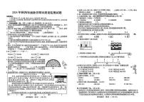河南省驻马店市驿城区2024-2025学年四年级上学期期末数学试题