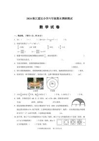 湖北省武汉市江夏区2024-2025学年六年级上学期期末数学试题