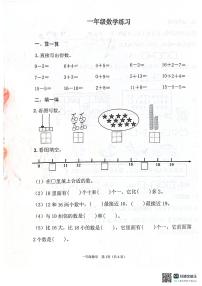 江苏省连云港市灌云县2024-2025学年一年级上学期期末数学试题