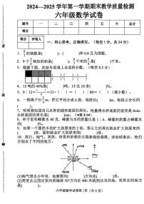 河北省邯郸市魏县2024-2025学年六年级上学期期末数学试卷