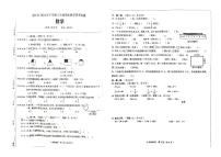 湖南省怀化市洪江市2024-2025学年三年级上学期期末数学试卷