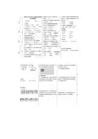 河北省石家庄市高新技术产业开发区2024-2025学年五年级上学期期末数学试题