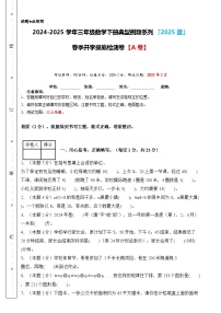 【开学摸底考】沪教版 2024-2025学年三年级数学下册开学摸底考试试卷（原卷版+解析版）