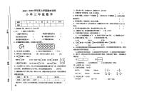 江西省赣州市安远县2024-2025学年三年级上学期期末数学试卷