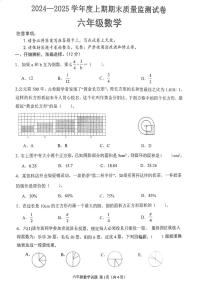 河南省信阳市罗山县2024-2025学年六年级上学期1月期末数学试题