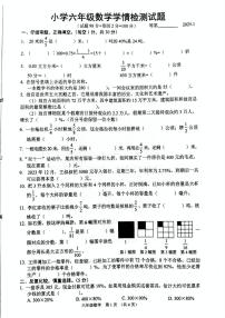 江苏省宿迁市沭阳县2024-2025学年六年级上学期1月期末数学试题