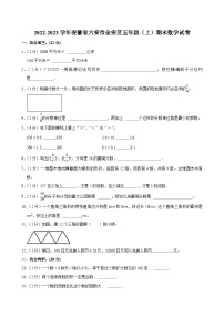 2022-2023学年安徽省六安市金安区五年级（上）期末数学试卷
