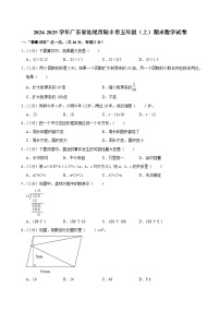 2024-2025学年广东省汕尾市陆丰市五年级（上）期末数学试卷