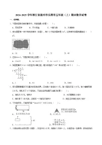 2024-2025学年浙江省温州市乐清市五年级（上）期末数学试卷