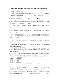 2023年河南省新乡市新乡县新时代学校小升初数学试卷（含解析）