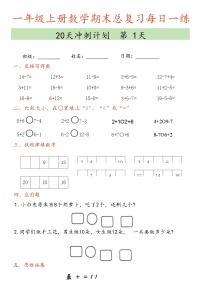 人教版一上数学期末总复习20天冲刺计划练习