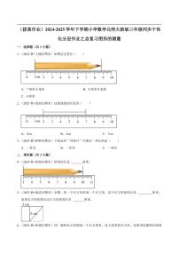 2024~2025学年北师大数学版三年级下册期末练习 总复习图形的测量（拔高作业）