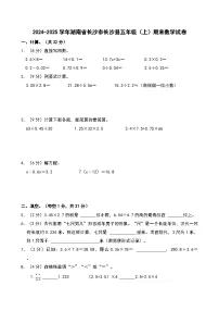 2024-2025学年湖南省长沙市长沙县五年级（上）期末数学试卷