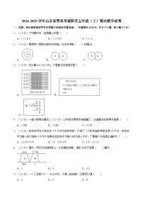 2024-2025学年山东省青岛市城阳区五年级（上）期末数学试卷