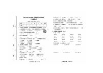 山东省滨州市无棣县第二实验小学2024-2025学年六年级上学期11月期中数学试题