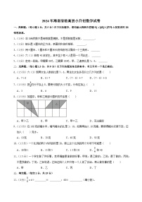2024年海南省临高县小升初数学试卷