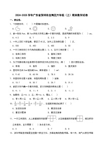 2024-2025学年广东省深圳市龙岗区六年级（上）期末数学试卷