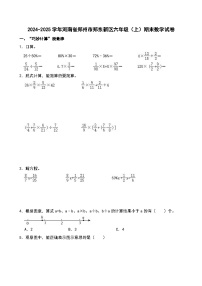 2024-2025学年河南省郑州市郑东新区六年级（上）期末数学试卷