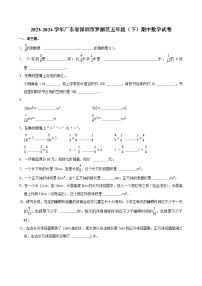 2023-2024学年广东省深圳市罗湖区五年级（下）期中数学试卷