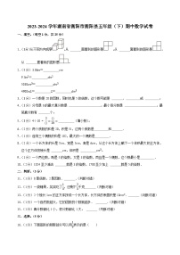 2023-2024学年湖南省衡阳市衡阳县五年级（下）期中数学试卷