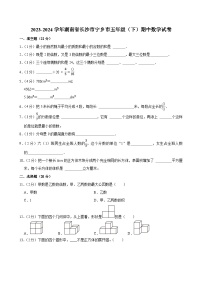 2023-2024学年湖南省长沙市宁乡市五年级（下）期中数学试卷