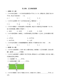 长方体、正方体的面积（期中专练）（含解析）-2024-2025学年三年级数学下册 人教版