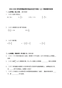 2024-2025学年河南省郑州市金水区六年级（上）期末数学试卷