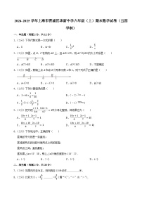 2024-2025学年上海市青浦区华新中学六年级（上）期末数学试卷（五四学制）（含详解）