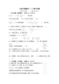 2025年北师大版五年级数学下册核心素养评价专项分类测试（一）数与代数（含答案）