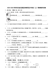 2023-2024学年河北省石家庄市桥西区六年级（上）期末数学试卷