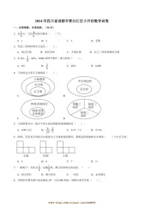 2024年四川省成都市青白江区小升初真题数学试卷(含答案)