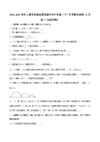2024-2025学年上海市西南位育实验中学六年级（下）月考数学试卷（3月份）（五四学制） （含解析）