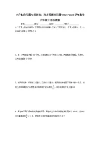 小升初应用题专项训练：列方程解应用题-2024-2025学年数学六年级下册苏教版