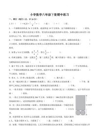 江苏省南京市江宁区中心小学2023-2024学年六年级下册期中测试数学试卷