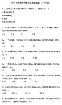 2025年湖南师范大学附属中学丘成桐少年班小学竞赛选拔考试数学试题（5~6年级）