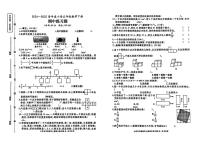 山东省济宁市任城区2024-2025学年五年级下数学期中试卷