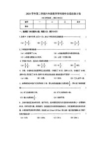 上海市普陀区2024-2025学年第二学期期中测试六年级数学试卷