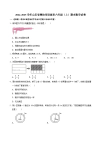 2024-2025学年山东省潍坊市诸城市六年级（上）期末数学试卷