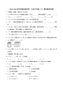 2023-2024学年河南省郑州市二七区六年级（下）期中数学试卷
