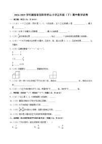 2024-2025学年湖南省岳阳市君山小学五年级（下）期中数学试卷