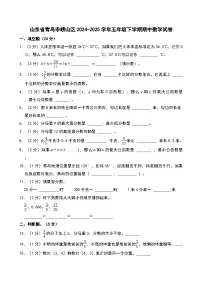 2024-2025学年山东省青岛市崂山区五年级（下）期中数学试卷