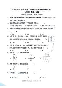 山东省青岛市城阳区2024-2025学年下学期期中测试六年级数学试题