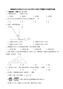 湖南省怀化市洪江市2024-2025学年六年级下学期期中考试数学试题