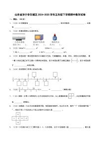 山东省济宁市任城区2024-2025学年五年级下学期期中数学试卷