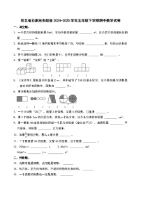 河北省石家庄市赵县2024-2025学年五年级下学期期中数学试卷