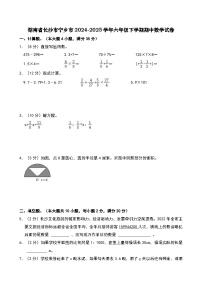 湖南省长沙市宁乡市2024-2025学年六年级下学期期中数学试卷